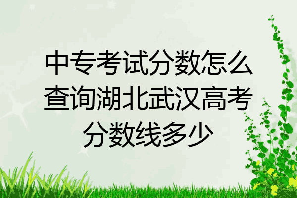 中专考试分数怎么查询湖北武汉高考分数线多少