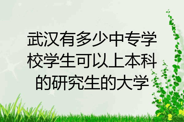 武汉有多少中专学校学生可以上本科的研究生的大学