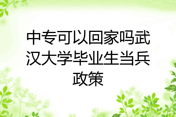 中专可以回家吗武汉大学毕业生当兵政策