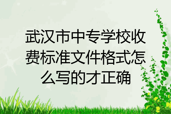 武汉市中专学校收费标准文件格式怎么写的才正确