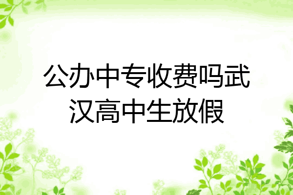 公办中专收费吗武汉高中生放假