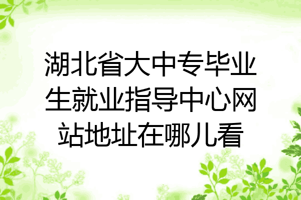 湖北省大中专毕业生就业指导中心网站地址在哪儿看