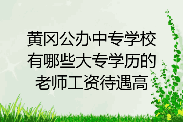 黄冈公办中专学校有哪些大专学历的老师工资待遇高