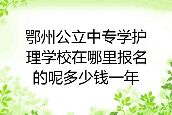 鄂州公立中专学护理学校在哪里报名的呢多少钱一年