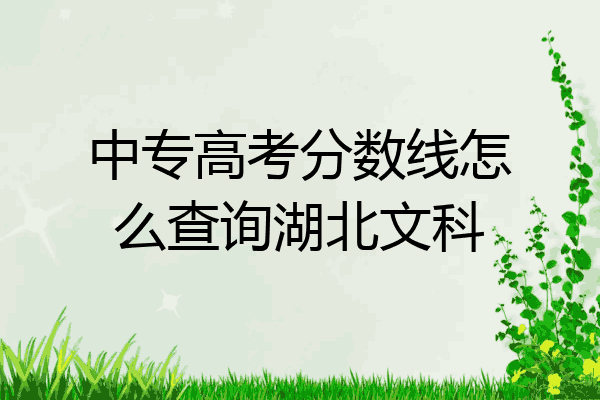 中专高考分数线怎么查询湖北文科