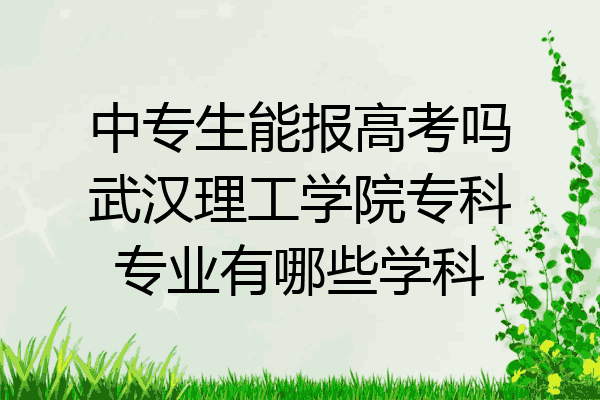 中专生能报高考吗武汉理工学院专科专业有哪些学科