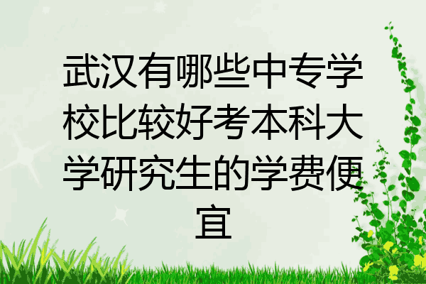 武汉有哪些中专学校比较好考本科大学研究生的学费便宜