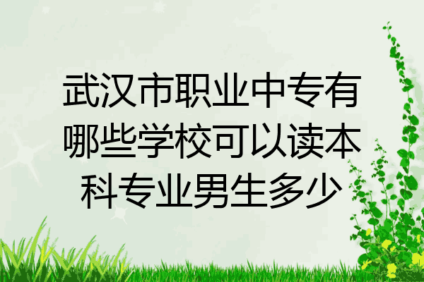 武汉市职业中专有哪些学校可以读本科专业男生多少