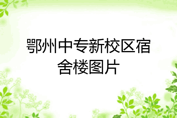 鄂州中专新校区宿舍楼图片