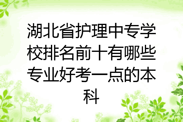 湖北省护理中专学校排名前十有哪些专业好考一点的本科