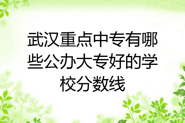 武汉重点中专有哪些公办大专好的学校分数线