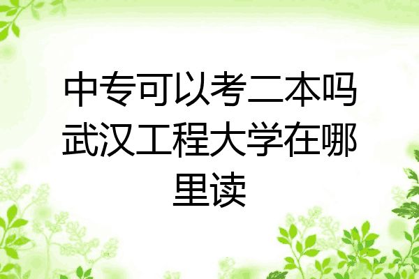 中专可以考二本吗武汉工程大学在哪里读