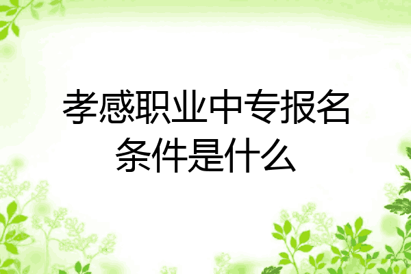 孝感职业中专报名条件是什么