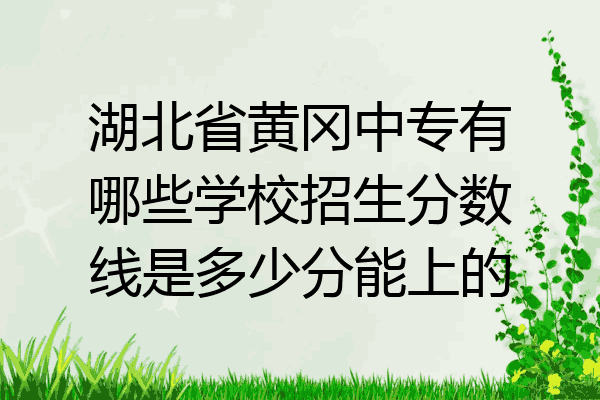 湖北省黄冈中专有哪些学校招生分数线是多少分能上的
