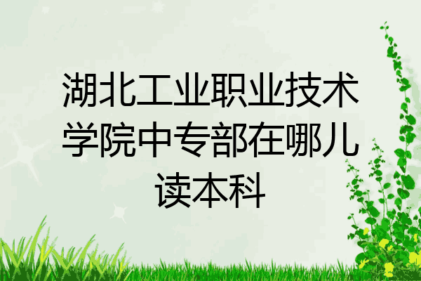 湖北工业职业技术学院中专部在哪儿读本科