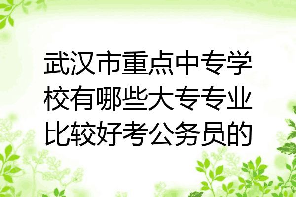 武汉市重点中专学校有哪些大专专业比较好考公务员的