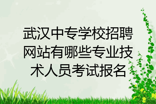 武汉中专学校招聘网站有哪些专业技术人员考试报名
