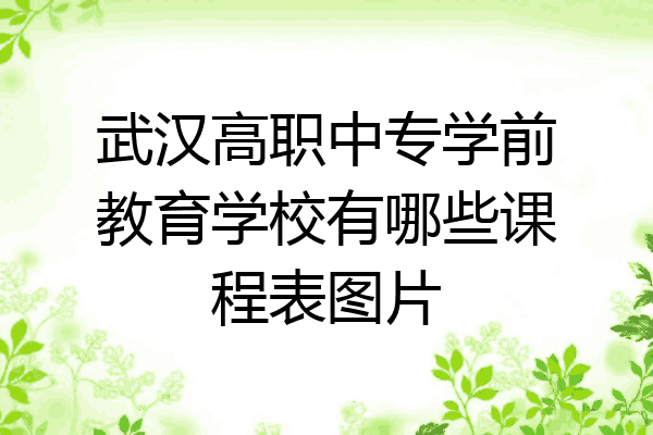 武汉高职中专学前教育学校有哪些课程表图片