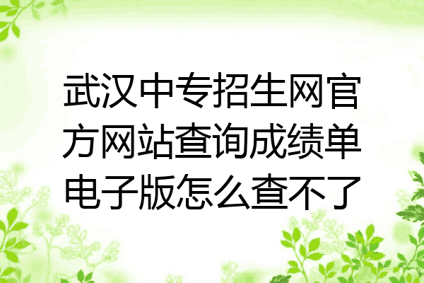武汉中专招生网官方网站查询成绩单电子版怎么查不了