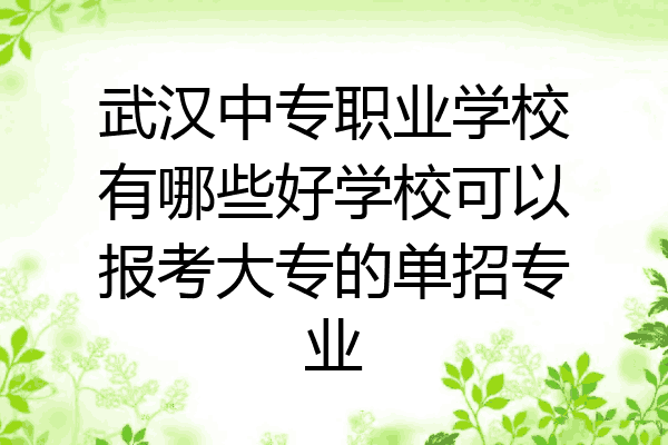 武汉中专职业学校有哪些好学校可以报考大专的单招专业