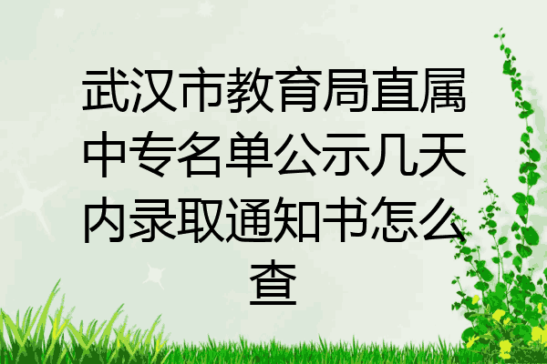 武汉市教育局直属中专名单公示几天内录取通知书怎么查