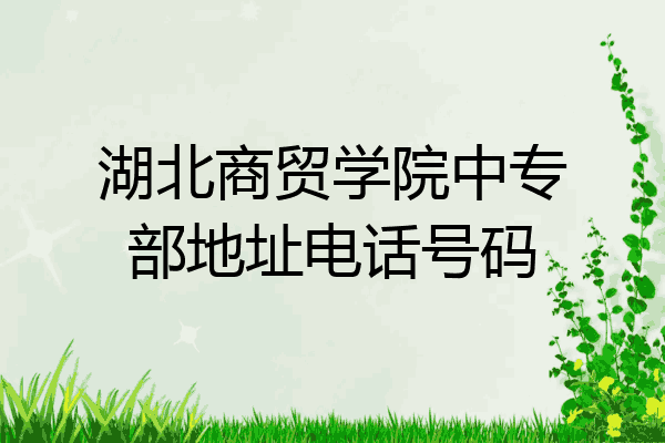 湖北商贸学院中专部地址电话号码