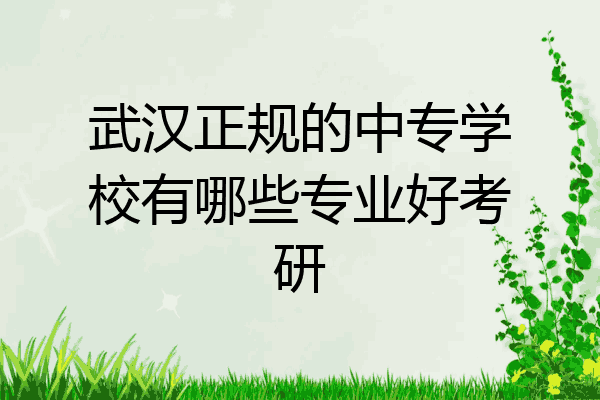 武汉正规的中专学校有哪些专业好考研