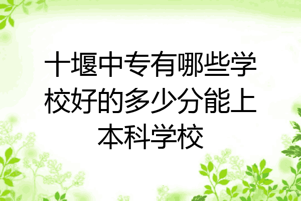 十堰中专有哪些学校好的多少分能上本科学校