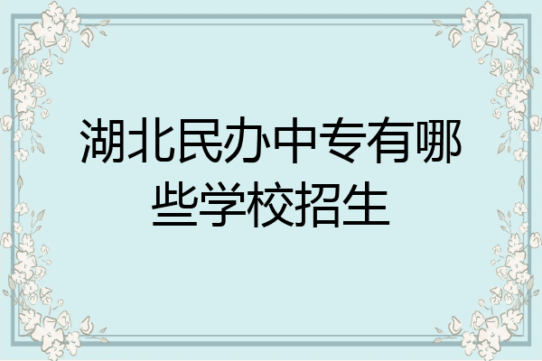 湖北民办中专有哪些学校招生