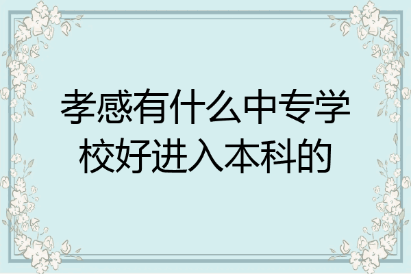 孝感有什么中专学校好进入本科的
