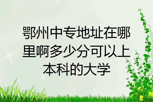鄂州中专地址在哪里啊多少分可以上本科的大学
