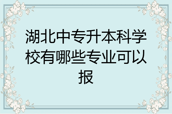 湖北中专升本科学校有哪些专业可以报
