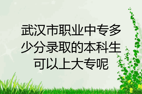 武汉市职业中专多少分录取的本科生可以上大专呢
