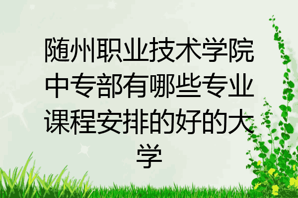 随州职业技术学院中专部有哪些专业课程安排的好的大学