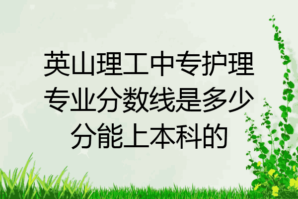 英山理工中专护理专业分数线是多少分能上本科的