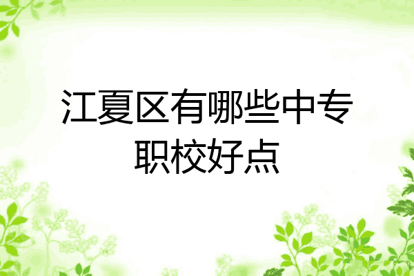 江夏区有哪些中专职校好点