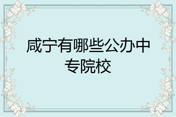 咸宁有哪些公办中专院校