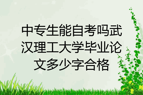 中专生能自考吗武汉理工大学毕业论文多少字合格