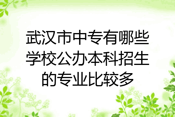 武汉市中专有哪些学校公办本科招生的专业比较多