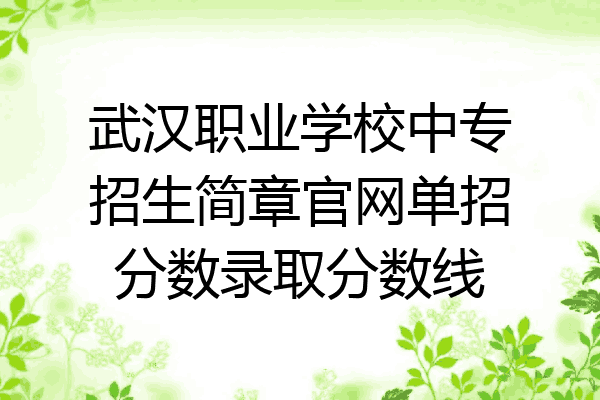 武汉职业学校中专招生简章官网单招分数录取分数线