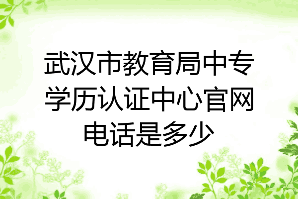 武汉市教育局中专学历认证中心官网电话是多少