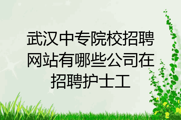 武汉中专院校招聘网站有哪些公司在招聘护士工