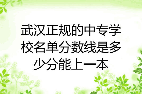 武汉正规的中专学校名单分数线是多少分能上一本