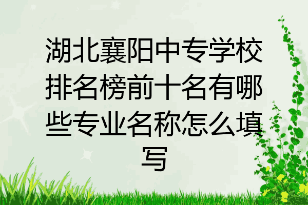 湖北襄阳中专学校排名榜前十名有哪些专业名称怎么填写