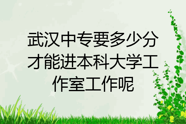 武汉中专要多少分才能进本科大学工作室工作呢