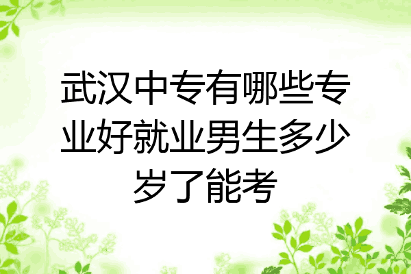 武汉中专有哪些专业好就业男生多少岁了能考