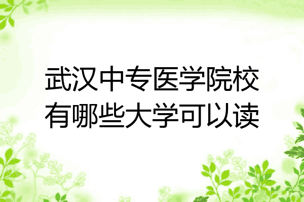 武汉中专医学院校有哪些大学可以读