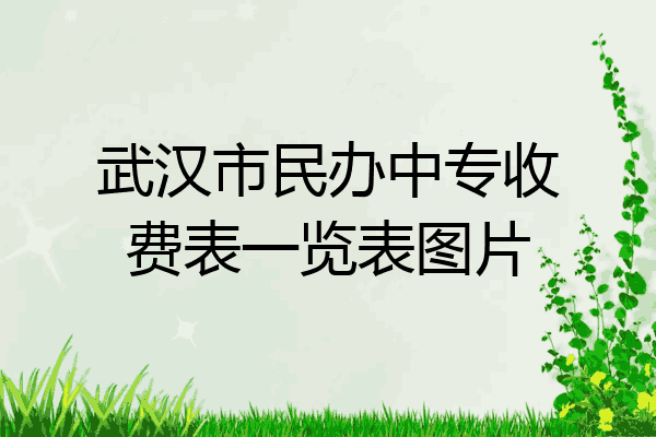 武汉市民办中专收费表一览表图片