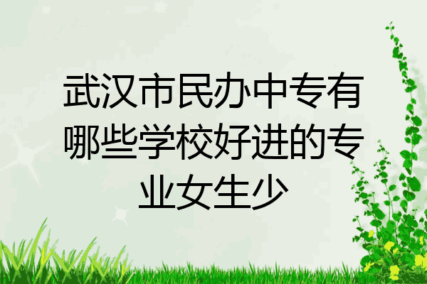 武汉市民办中专有哪些学校好进的专业女生少