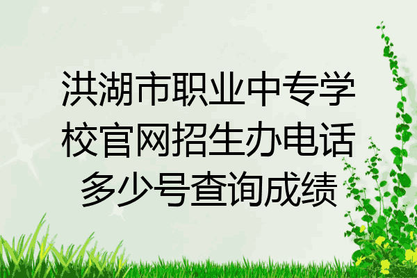 洪湖市职业中专学校官网招生办电话多少号查询成绩